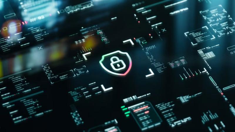 东阳市软件开发公司